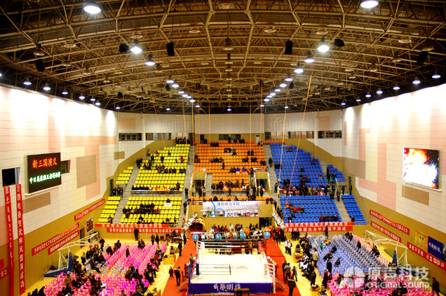 武林風(fēng)擂臺(tái)擴(kuò)聲燈光系統(tǒng)工程